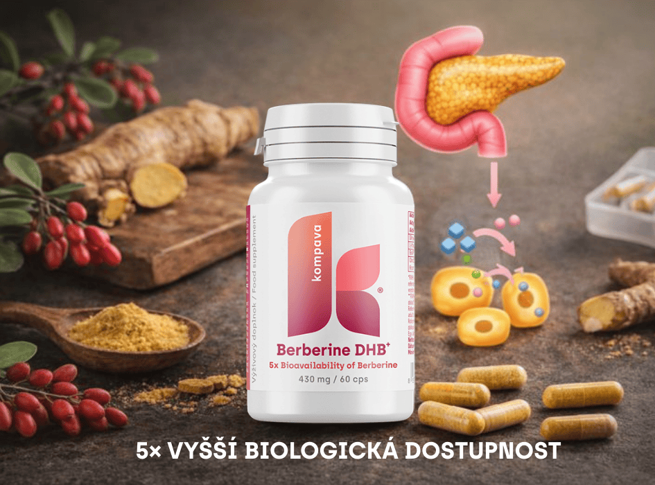 Berberine DHB+ Kompava-cz-alt
