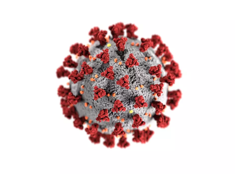 Koronavirus