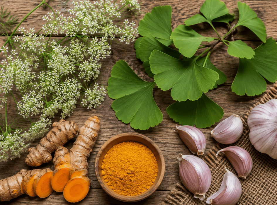 Česnek, ginkgo, kurkuma a hloh pro podporu cév