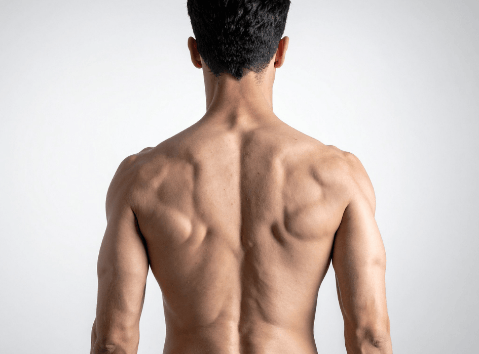 cvik lopatky mužská záda-cz-alt