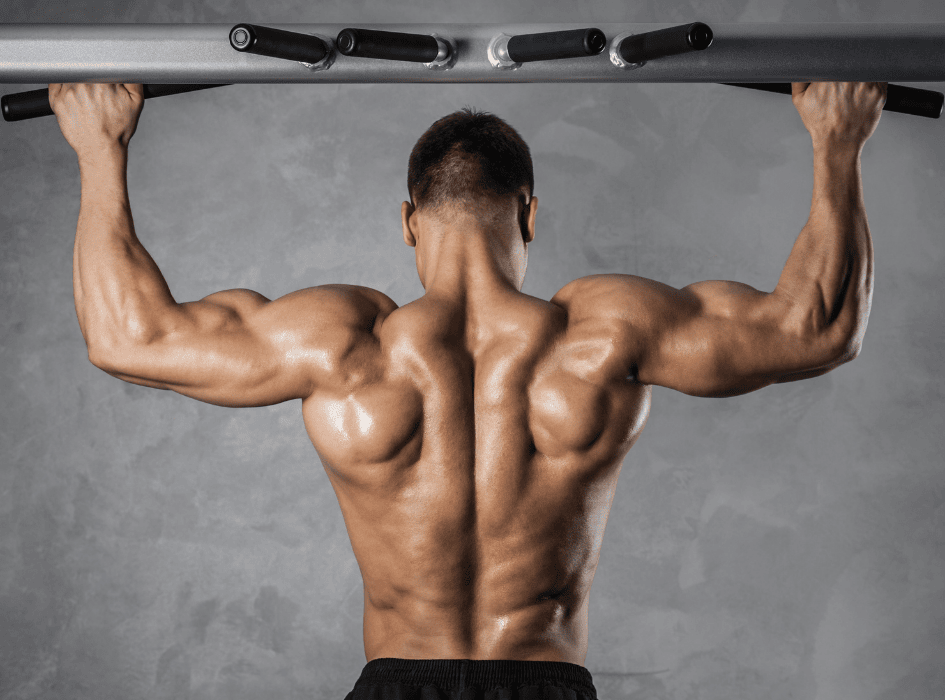 detail svalů zad muže při shybech na hrazdě-cz-alt