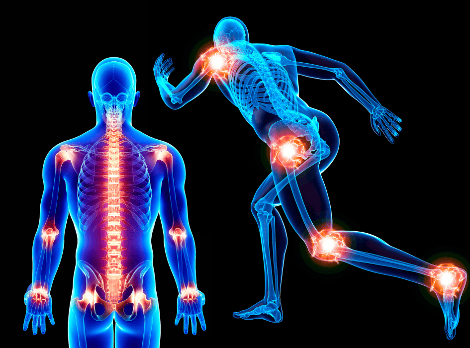 klouby anatomicky na kostře-cz-alt