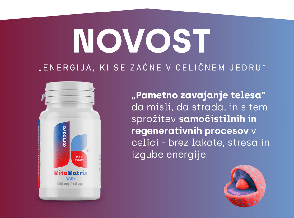 novinka MitoMatrix NAD+jadro bunky-alt
