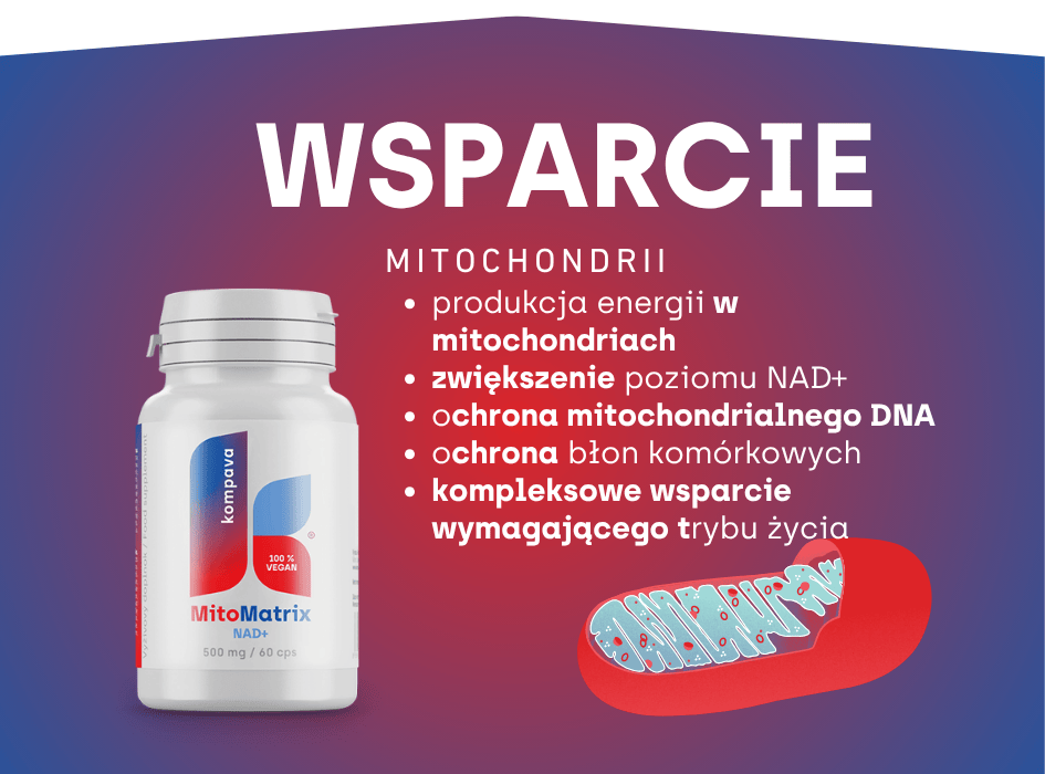 podpora mitochondrií MitoMatrix NAD+- alt