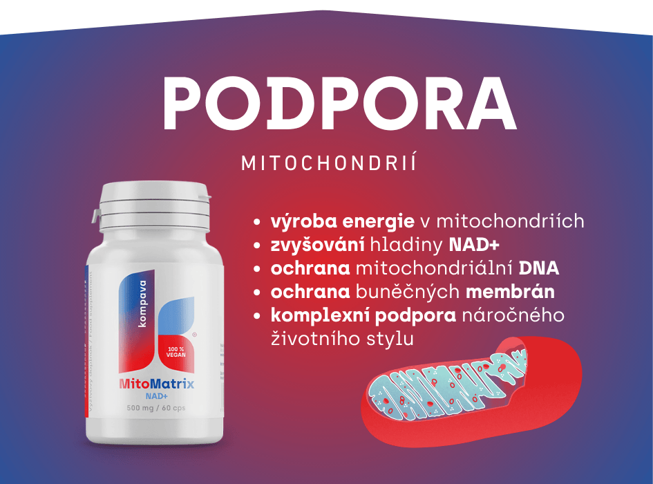 podpora mitochondrií MitoMatrix NAD+-cz-alt