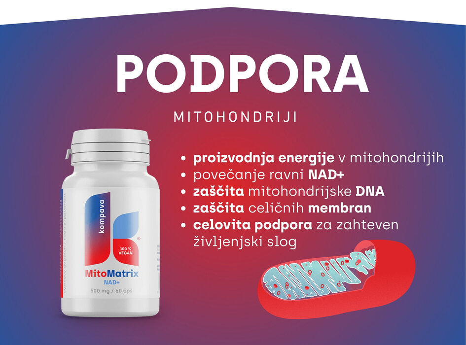 MitoMatrix NAD+ nadomestna mitohondrijska podpora-alt