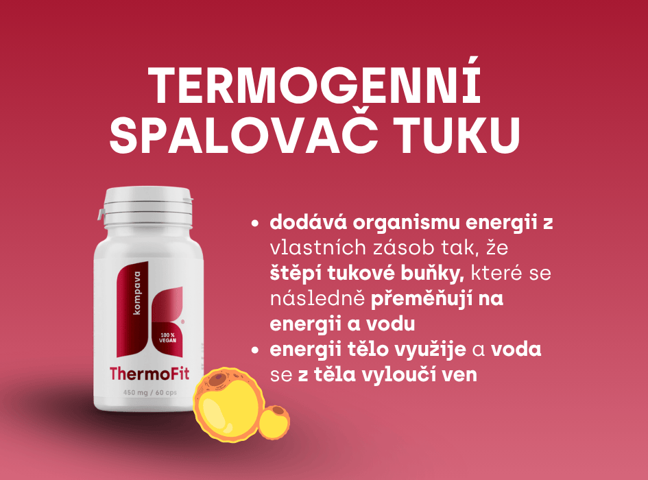 termogenní spalovač tuku ThermoFit-cz-alt