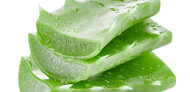 Aloe vera - antioksidant za regeneracijo kože