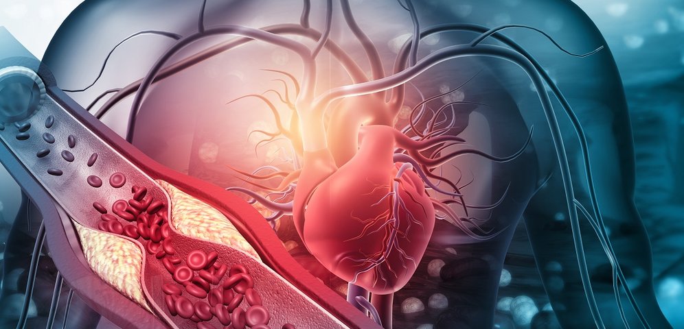 Ako očkovanie ovplyvňuje kardiovaskulárny systém?