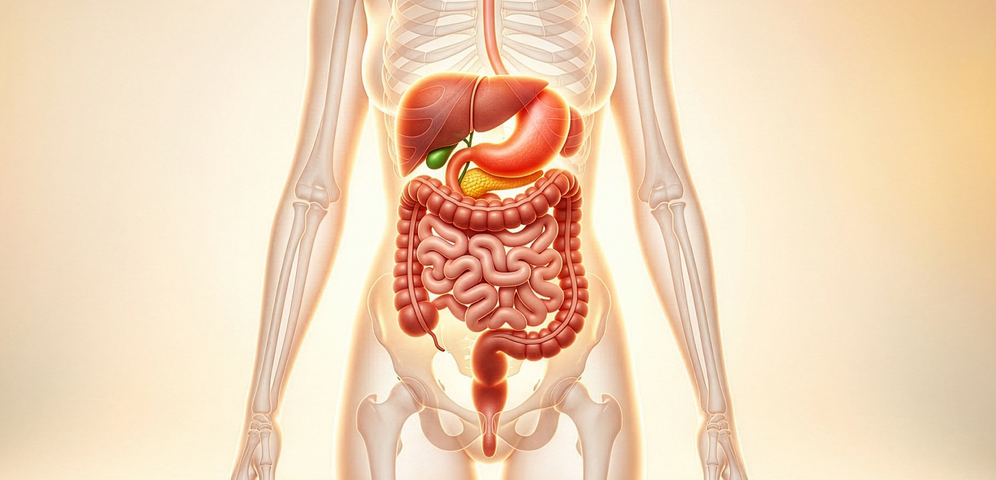 Ako očistiť telo po liekoch a vírusových ochoreniach?