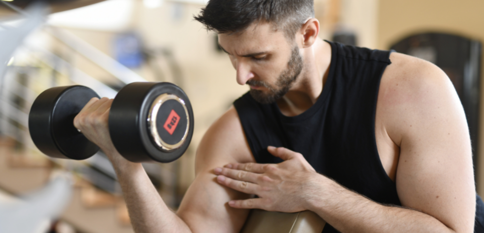 Jaką rolę odgrywa leucyna w budowie mięśni i metabolizmie tłuszczów?