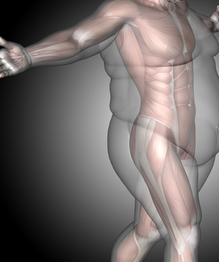 Metabolismus tuků - jak ho nastartovat?