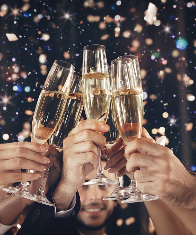 Zajamčeni nasveti, kako se spopasti s silvestrsko mačko