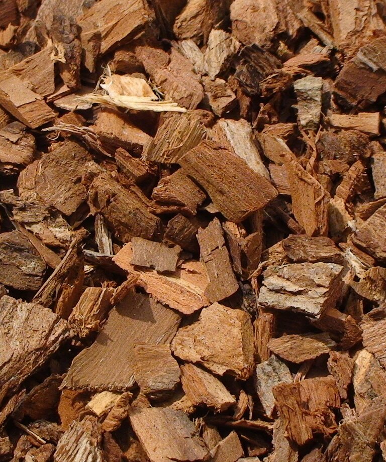 White Willow Bark - Kůra bílé vrby