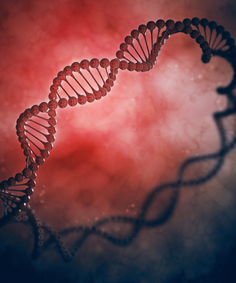 Co je to laktoferin?