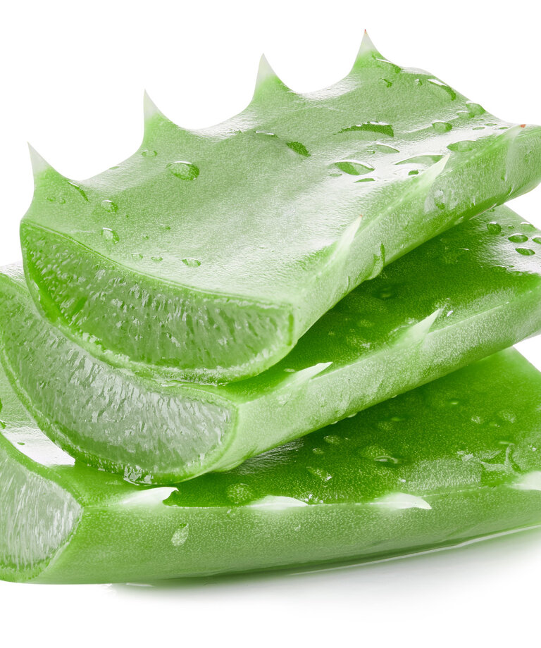 Aloe vera - antioksidant za regeneracijo kože