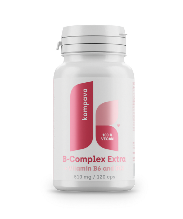 Podpora paměti a soustředění