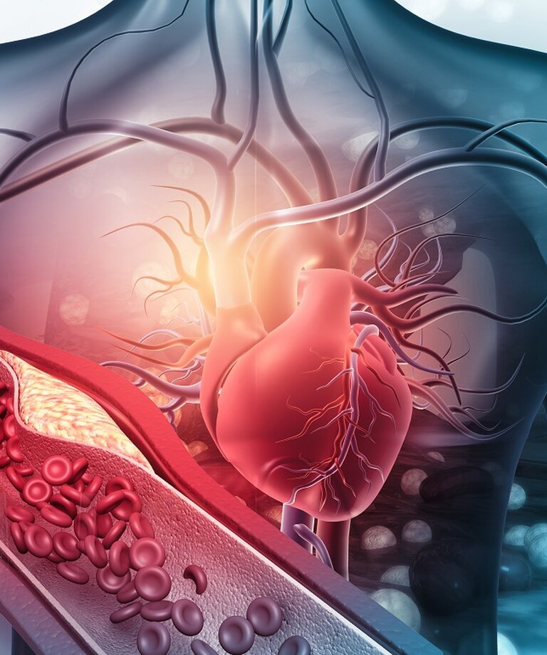 Jak očkování ovlivňuje kardiovaskulární systém?