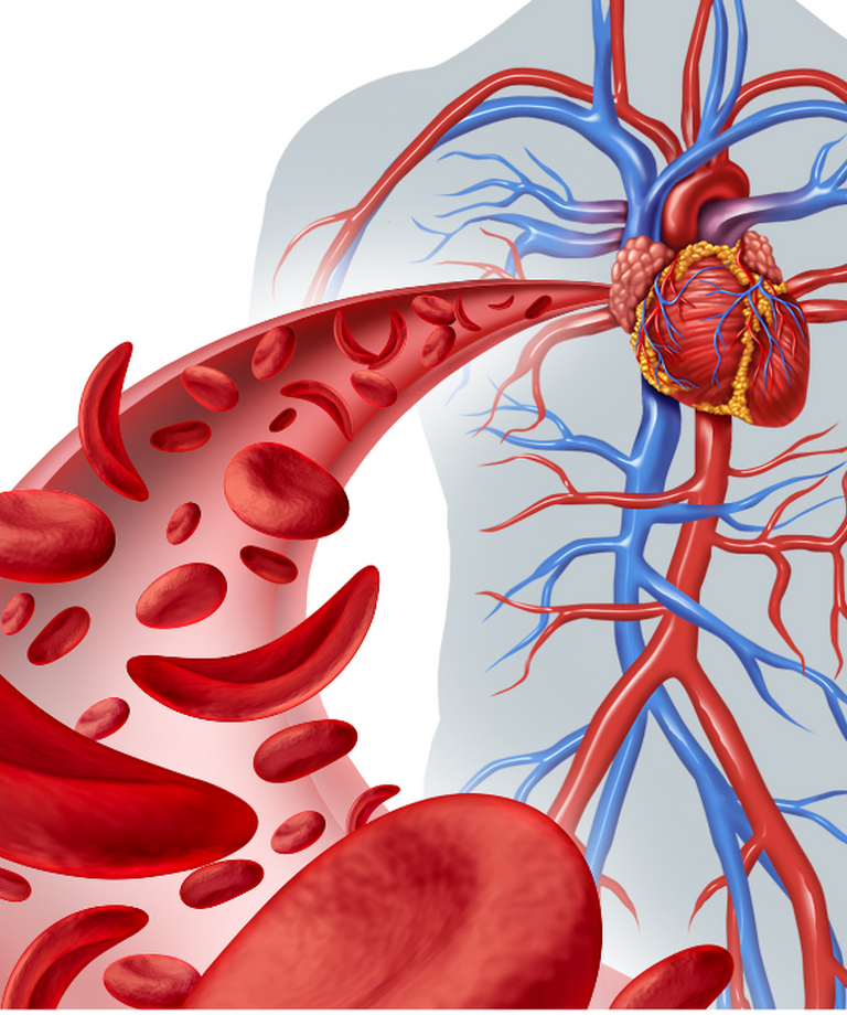 Čo signalizuje zvýšené množstvo alebo nedostatok červených krviniek?