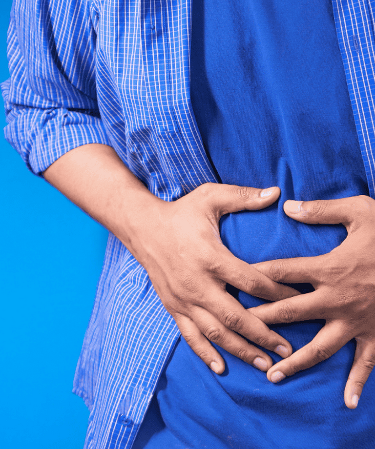 Prebavni encimi in njihova razdelitev