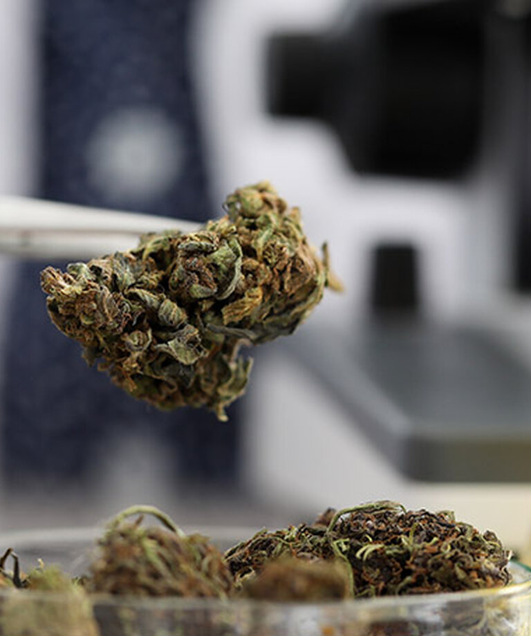 CBD: Celospektrální či širokospektrální extrakt nebo izolát? Jak vyřešit toto dilema