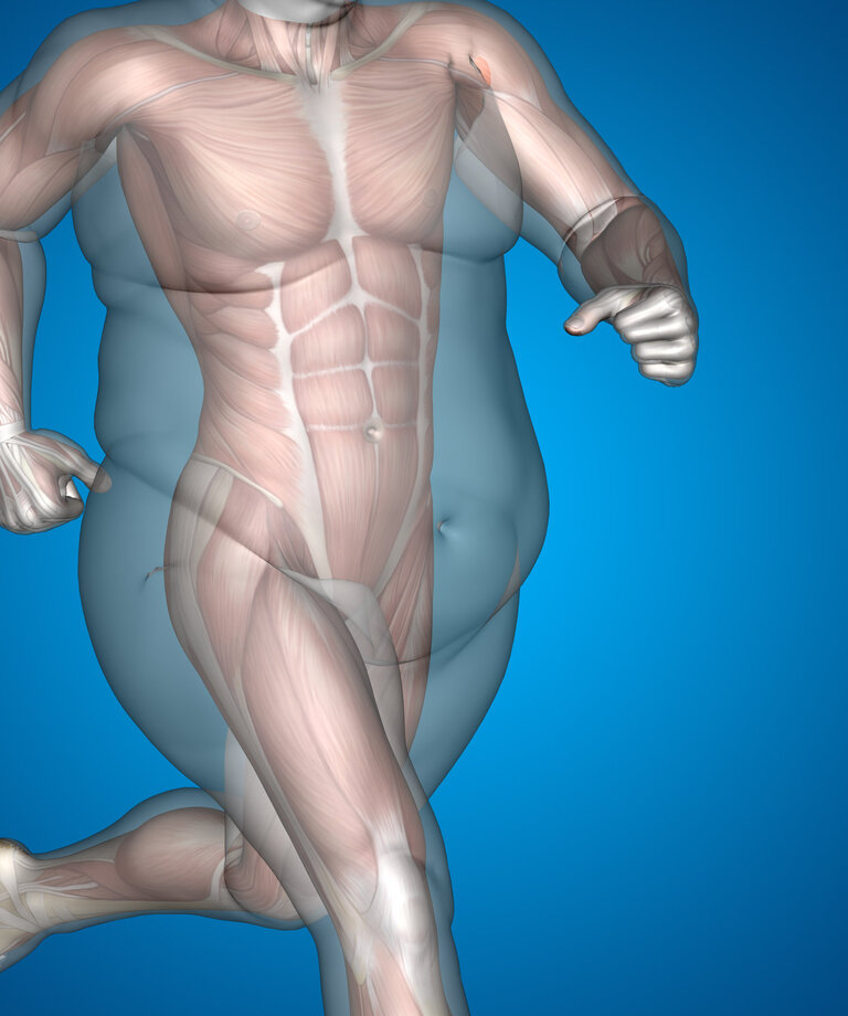 Cholesterol, TAG a ich hodnoty