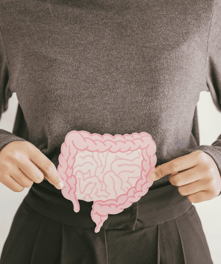 Co jsou prebiotika a jak podporují trávení, imunitu a zdraví střev?