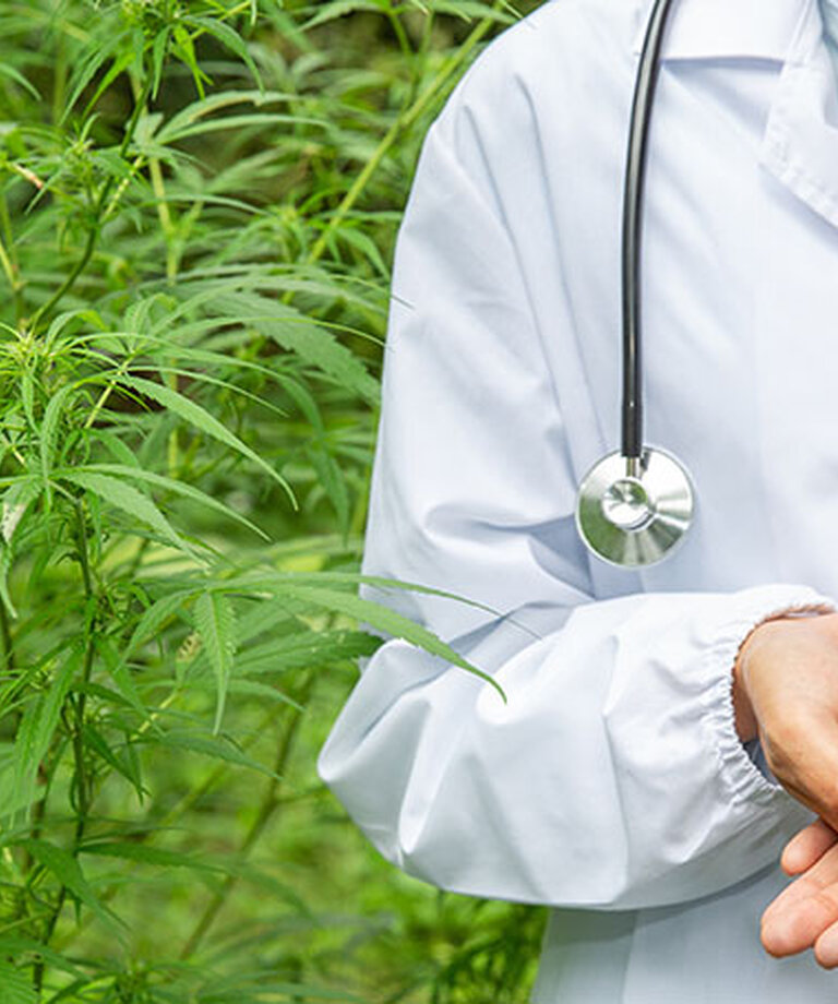 Discover the precious endocannabinoid system