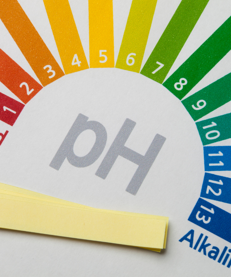 Acidofit jako ochrona przed zakwaszeniem w trakcie diety ze zwiększoną podażą białka