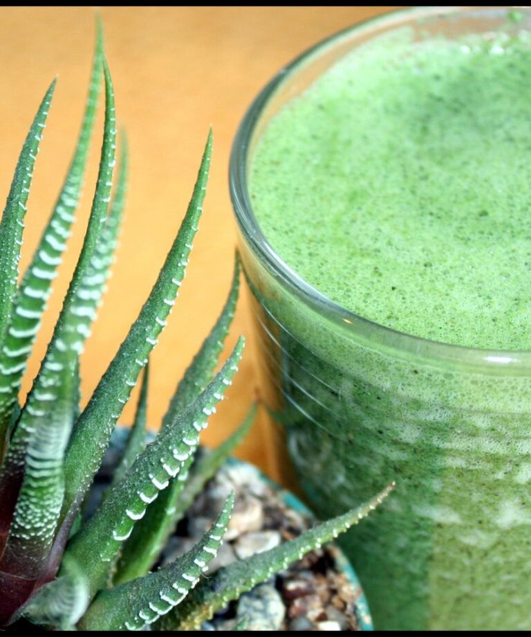 Nápoj z Aloe Vera