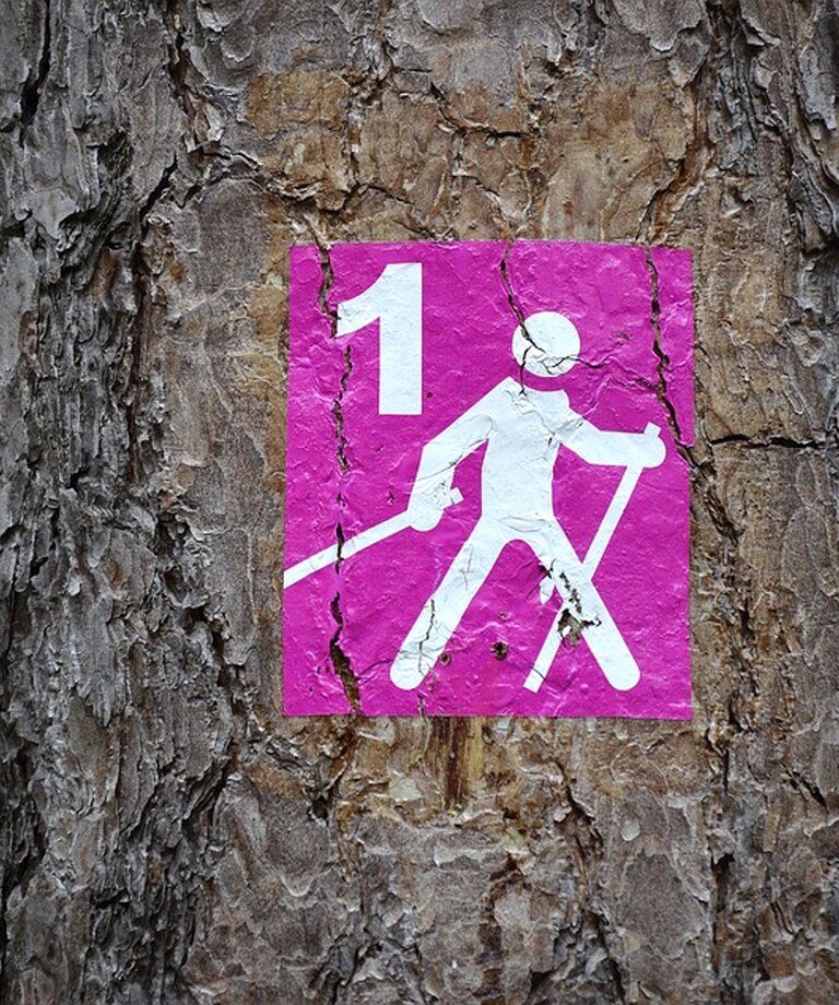 Nordijska hoja - S palicami do zdravja