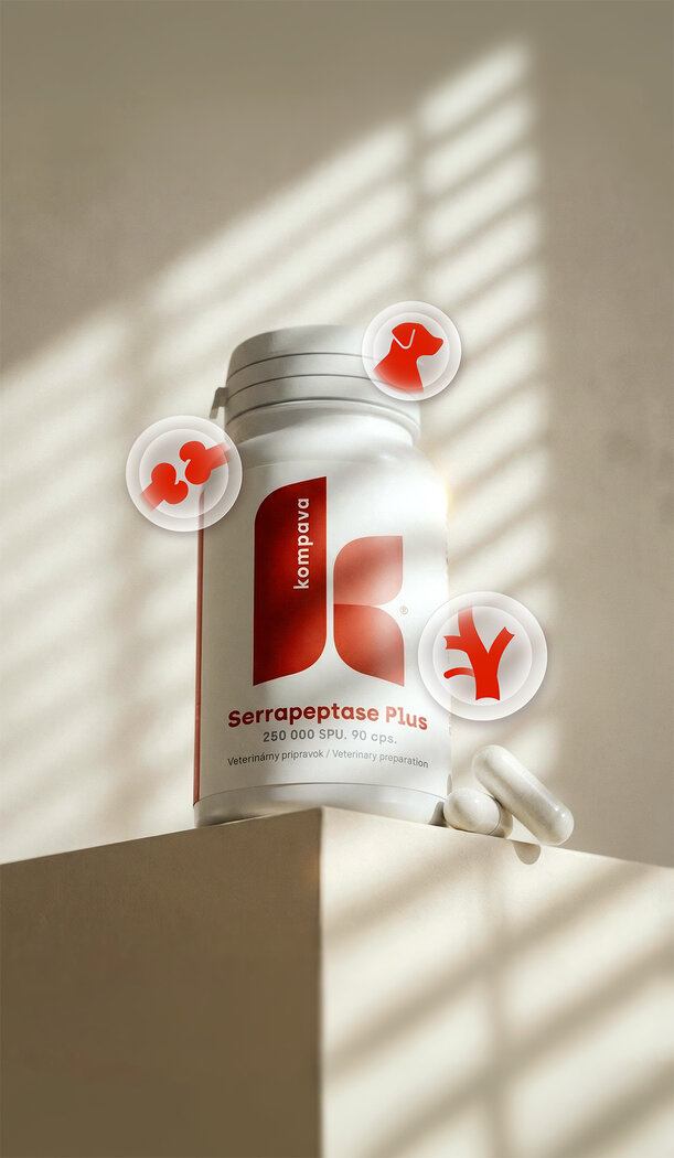 Serrapeptase Plus