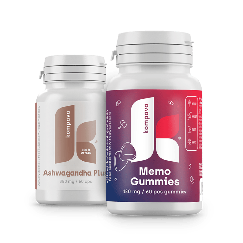 Paket za izpitno obdobje/LIME 18/19 174CM