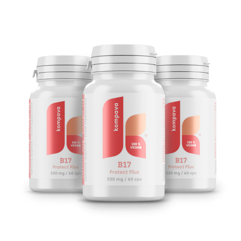 B17 Protect Plus/LIME 18/19 174CM