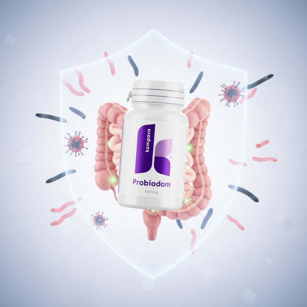 Probiodom Probiodom/LIME 18/19 174CM