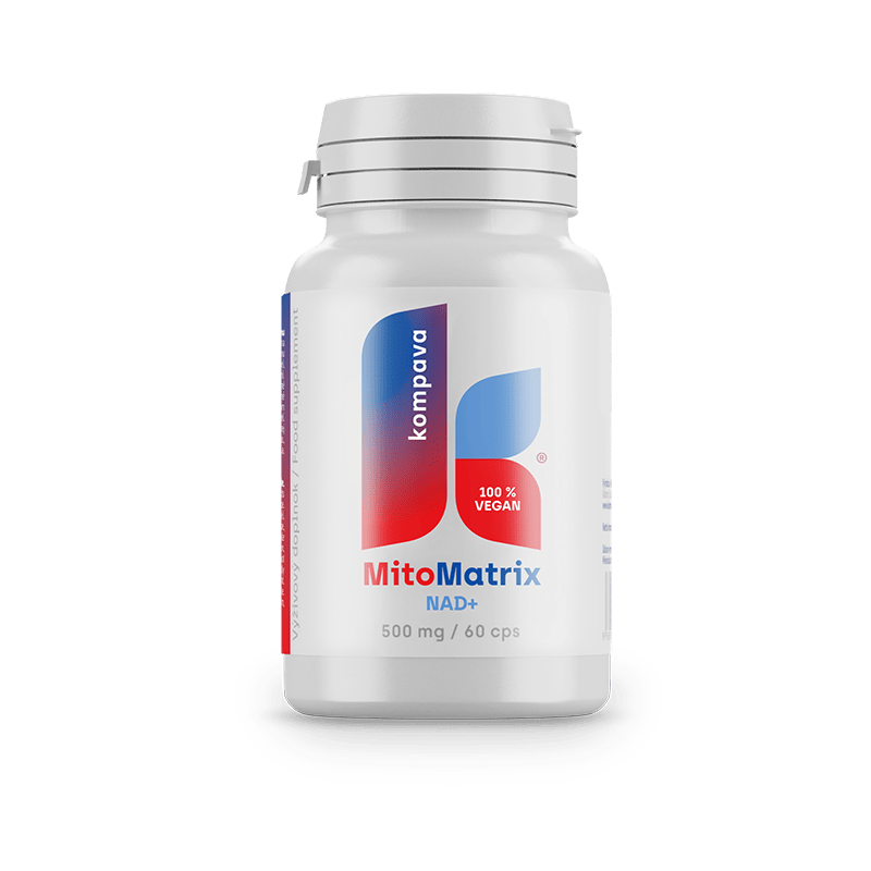 MitoMatrix NAD+ MitoMatrix NAD+/LIME 18/19 174CM