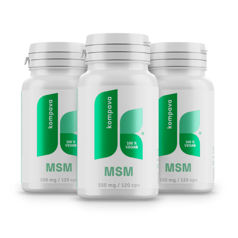 MSM MSM/LIME 18/19 174CM