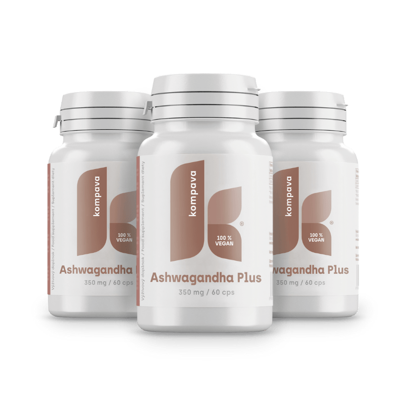Ashwagandha Plus Ashwagandha Plus/LIME 18/19 174CM