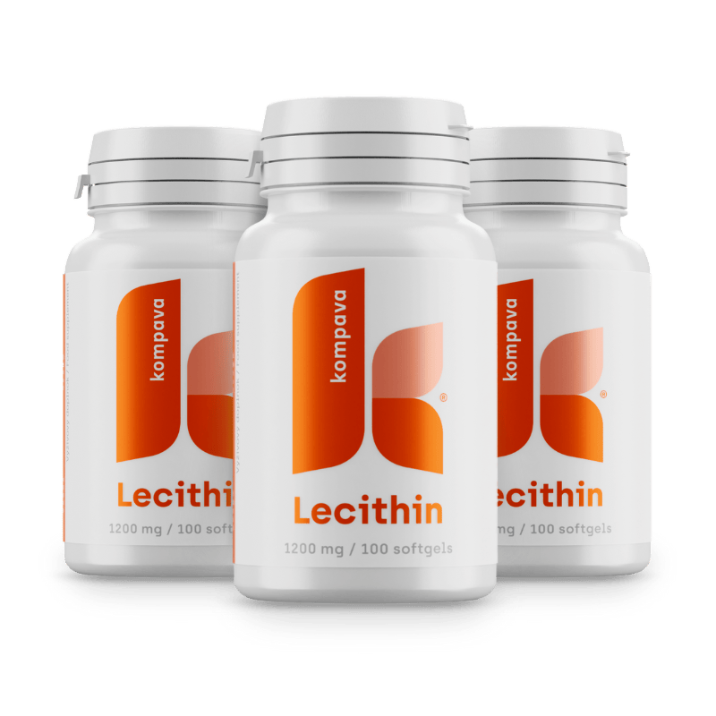 Lecithin/LIME 18/19 174CM