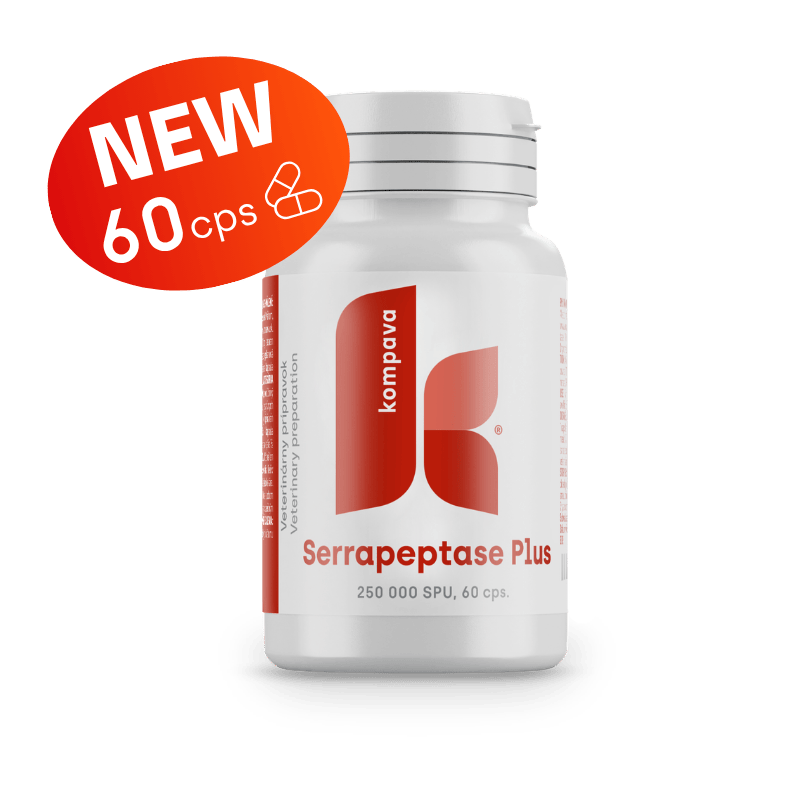 Serrapeptase Plus