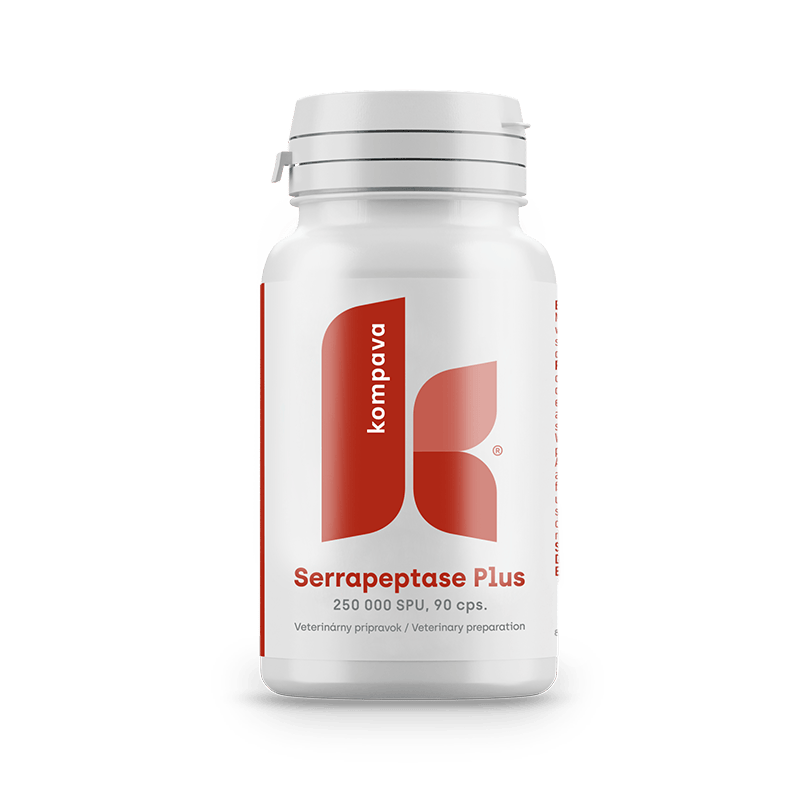 Serrapeptase Plus /LIME 18/19 174CM
