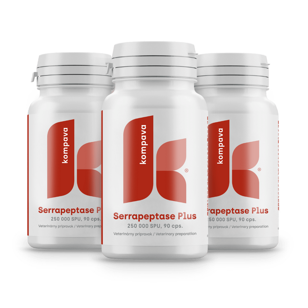 Serrapeptase Plus /LIME 18/19 174CM