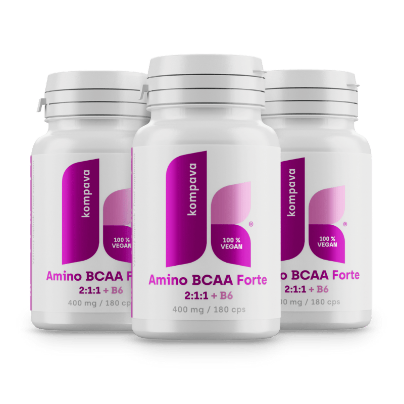 Amino BCAA Forte 2:1:1 Amino BCAA Forte 2:1:1/LIME 18/19 174CM