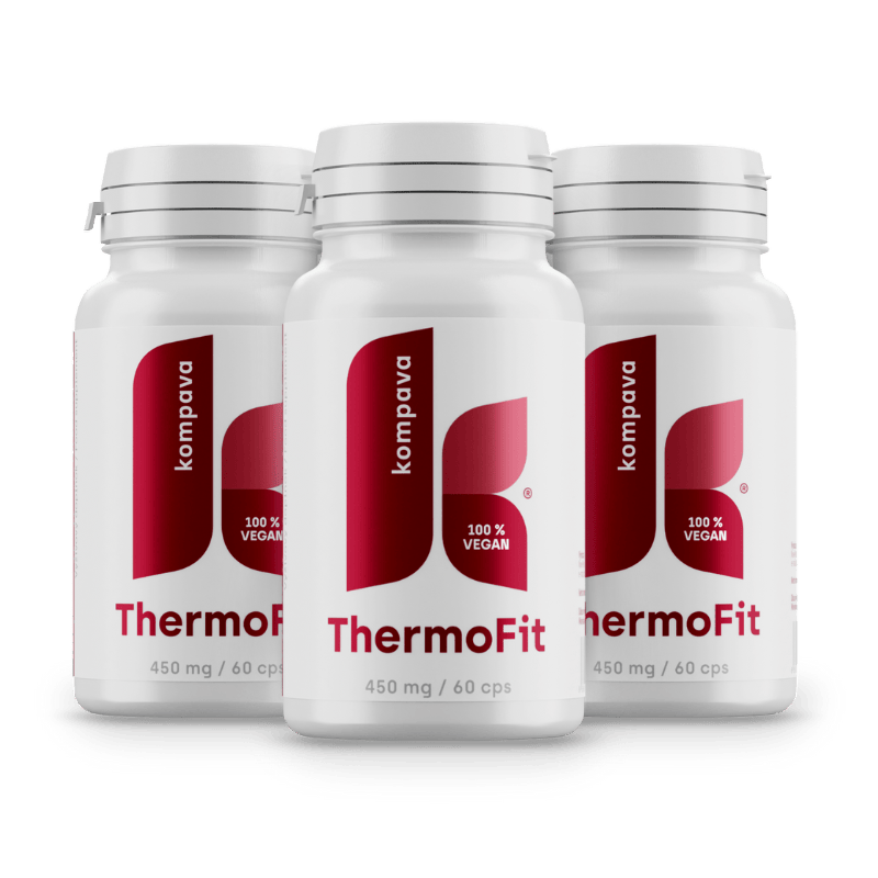 ThermoFit ThermoFit/LIME 18/19 174CM