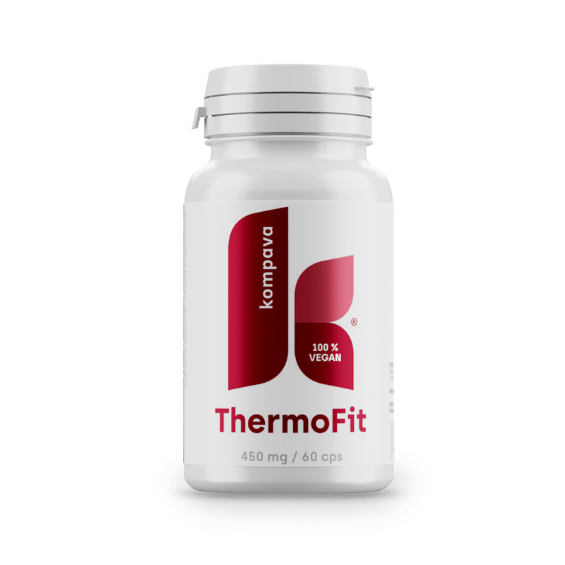 ThermoFit ThermoFit/LIME 18/19 174CM