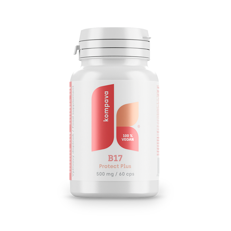 b17-transparent-800x800