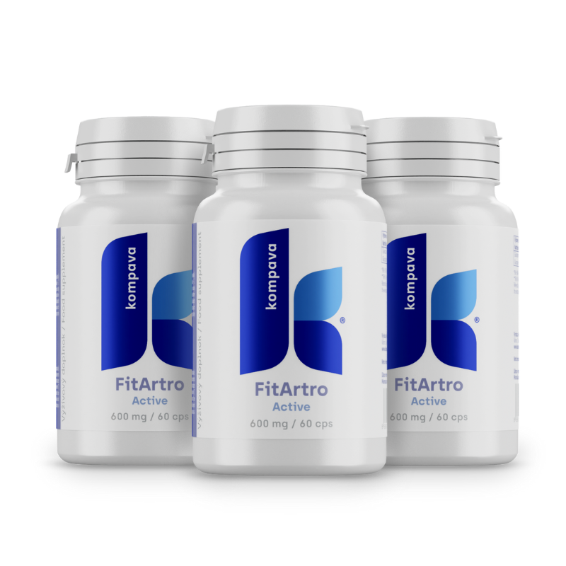Levně Kompava 3-balení Fit Artro Aktiv 600 mg/60 kps