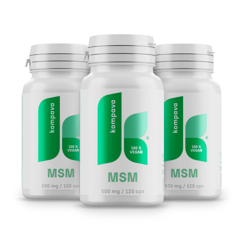 Levně Kompava 3-balení MSM 500 mg/120 kps