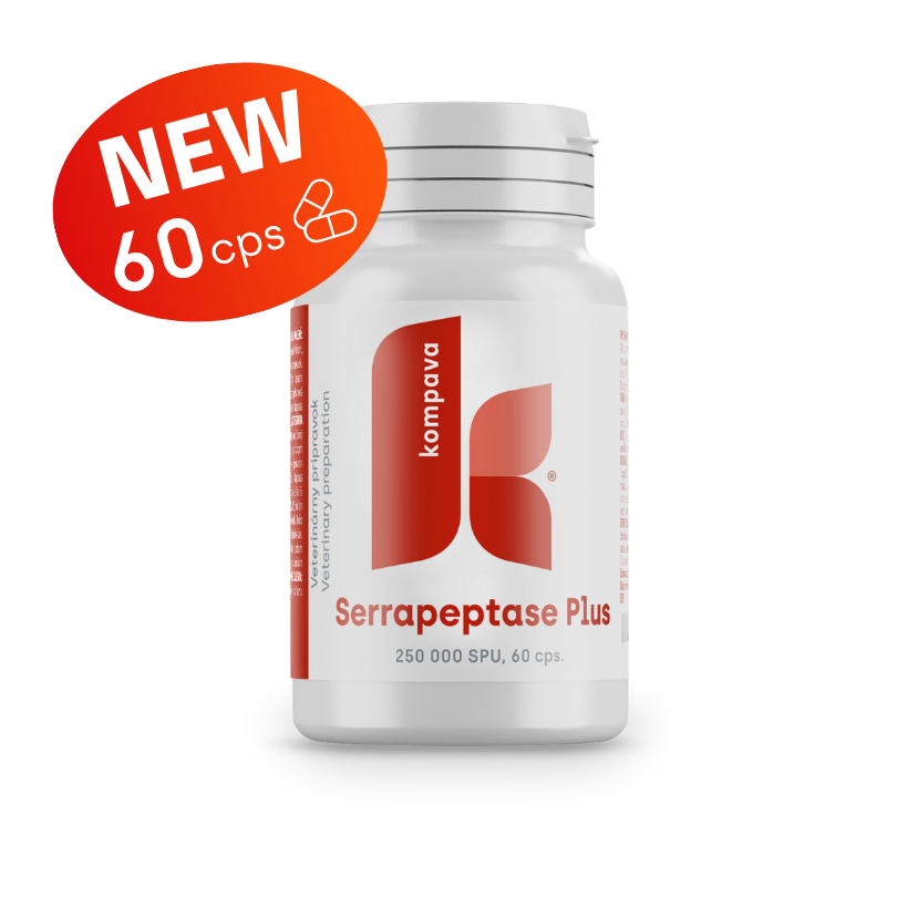 Kompava Serrapeptase Plus 356 mg/60 kps