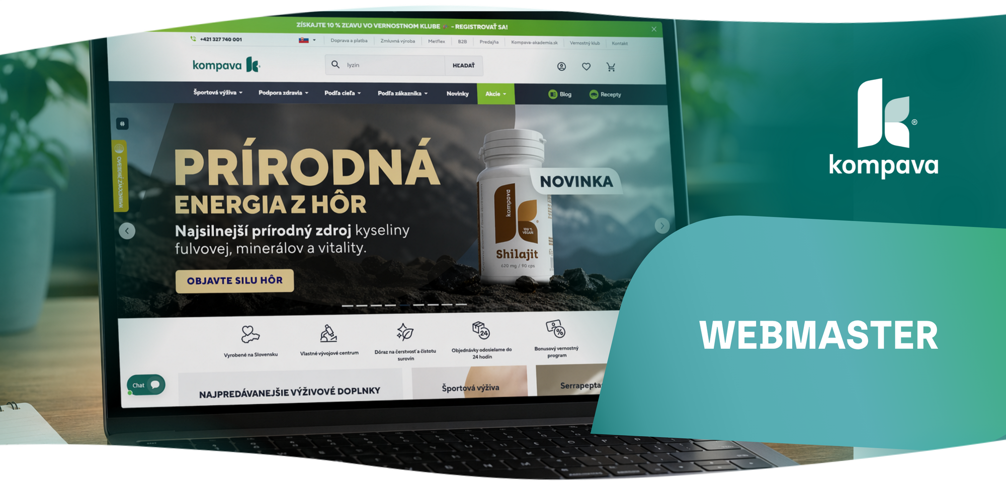 Webmaster kariéra